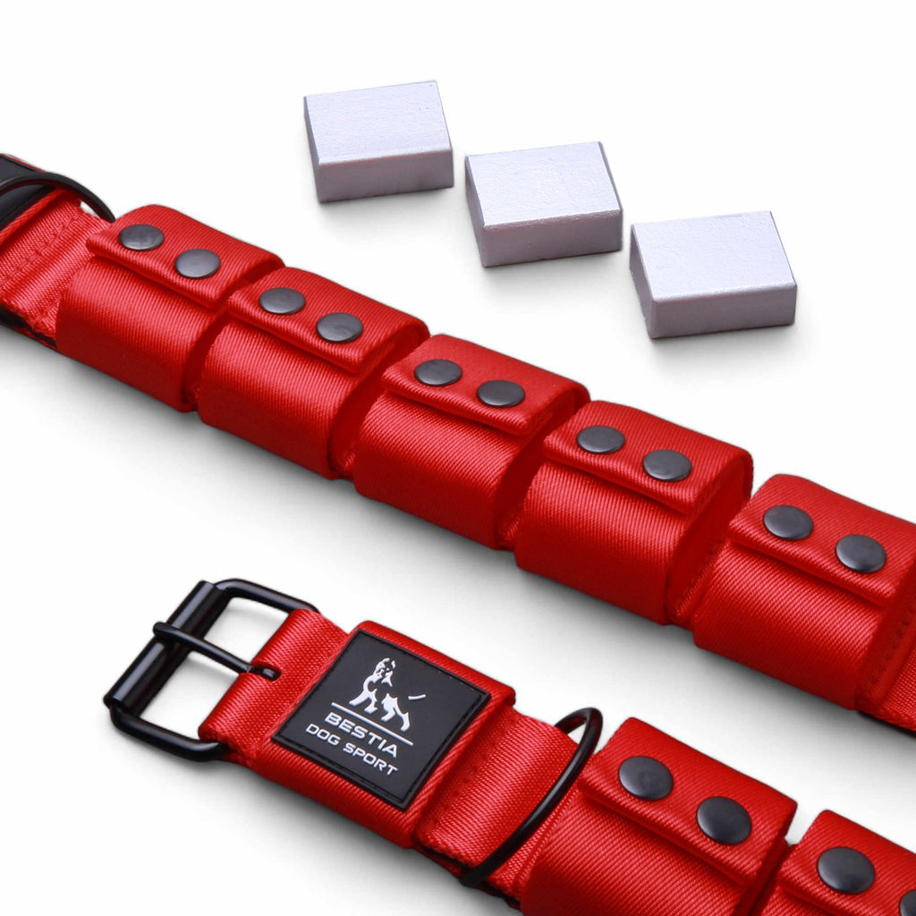 Weighted dog training collar- Red. Large breeds. 5 lbs total. removable weights